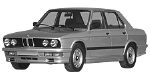 BMW E28 P1493 Fault Code