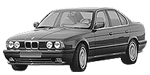 BMW E34 P1493 Fault Code